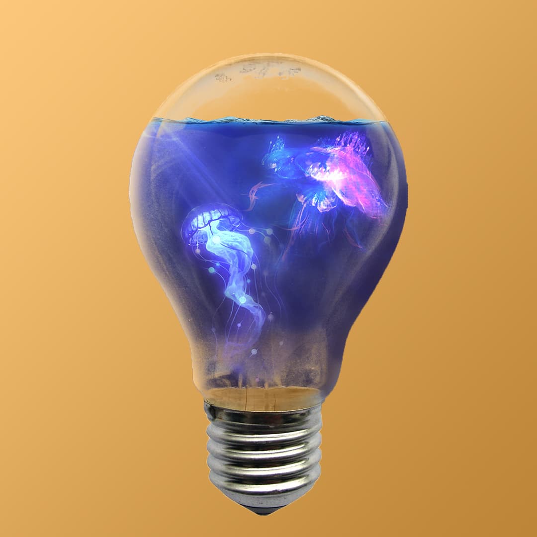 Light Buld reimagined